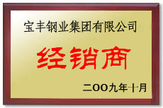 夏县宝丰经销商